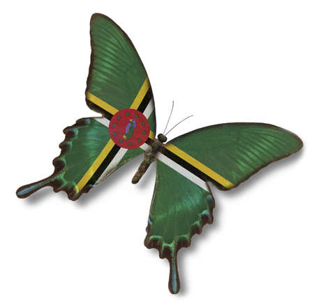 Dominica flag on butterfly isolated on whiteの写真素材