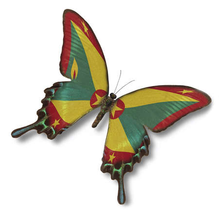 Grenada flag on butterfly isolated on whiteの写真素材