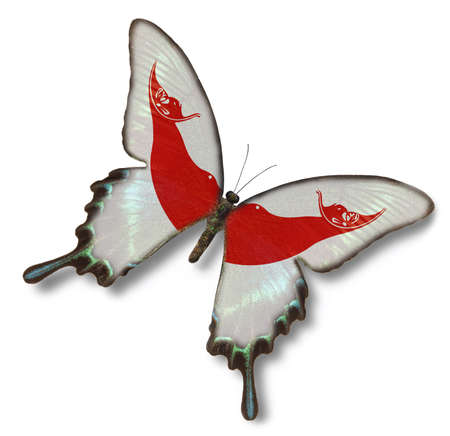  Rapa Nui flag on butterfly isolated on whiteの写真素材