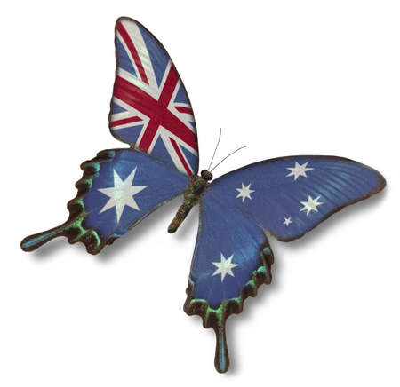Australia flag on butterfly isolated on whiteの写真素材