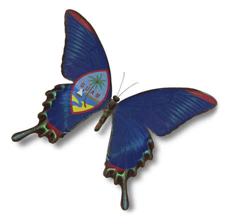 Guam flag on butterfly isolated on whiteの写真素材