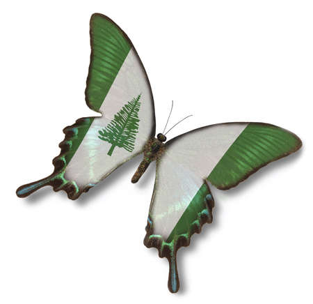 Norfolk Island flag on butterfly isolated on whiteの写真素材