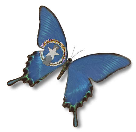 Northern Mariana Islands flag on butterfly isolated on whiteの写真素材