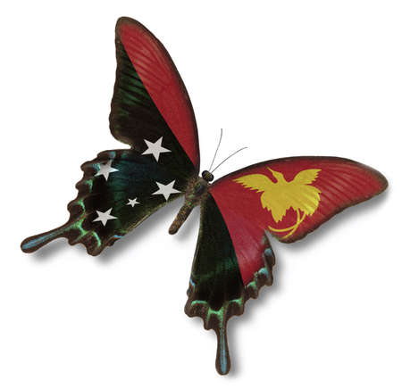 Papua New Guinea flag on butterfly isolated on whiteの写真素材