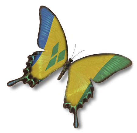 Saint Vincent and Grenadines flag on butterfly isolated on whiteの写真素材