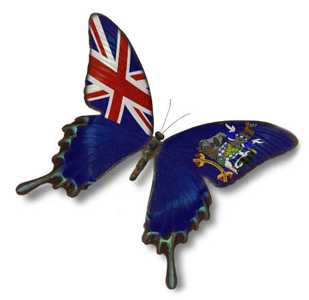 South Georgia and the South Sandwich Islands flag on butterfly isolated on whiteの写真素材