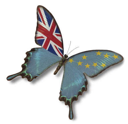 Tuvalu flag on butterfly isolated on whiteの写真素材