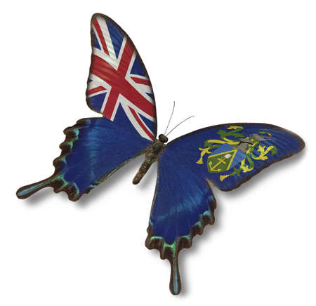Pitcairn Islands flag on butterfly isolated on whiteの写真素材