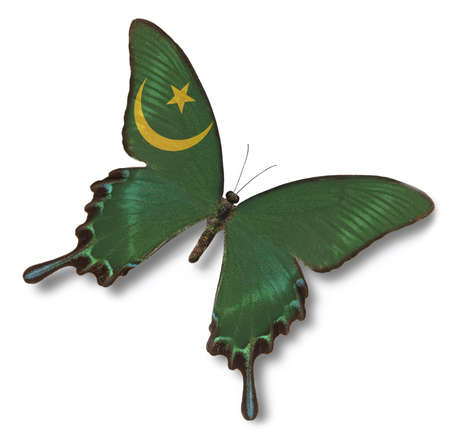 Mauritania flag on butterfly isolated on whiteの写真素材