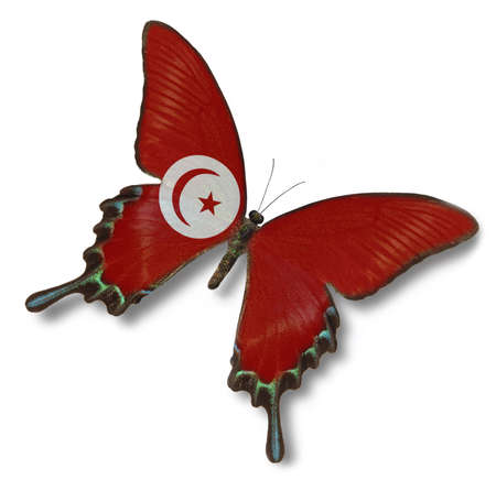 Tunisia flag on butterfly isolated on whiteの写真素材