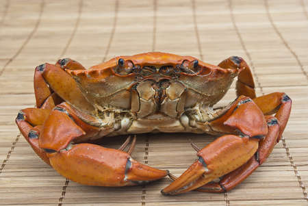Crab prepared on wood backgroundの写真素材