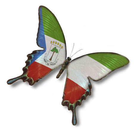 Equatiorial Guinea flag on butterfly isolated on whiteの写真素材