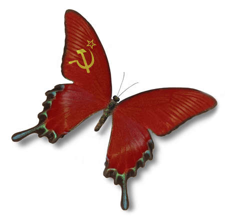 Soviet  Union flag on butterfly isolated on whiteの写真素材