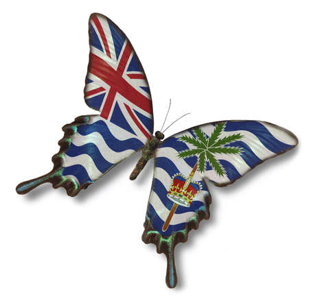 British Indian Ocean Territory flag on butterfly isolated on whiteの写真素材