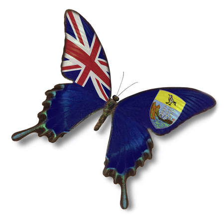 Saint Helena flag on butterfly isolated on whiteの写真素材