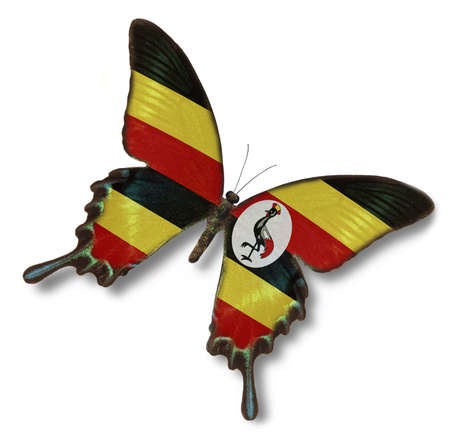 Uganda flag on butterfly isolated on whiteの写真素材
