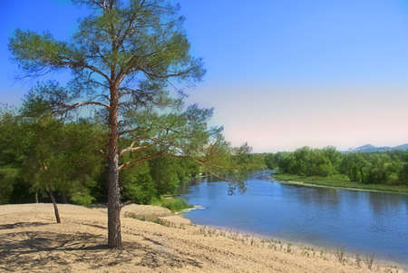 River in pine and fir forest, East Europe