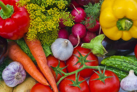 Group of vegetables close-up viewの写真素材