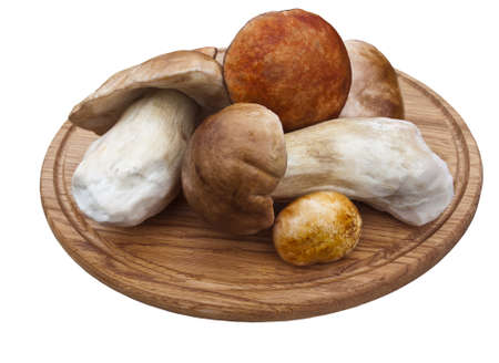 Some white mushrooms on cutting boardの写真素材