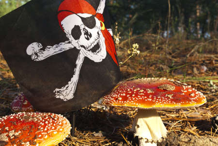 Danger mushroom with flag Jolly Rogerの写真素材
