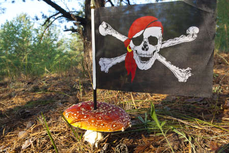 Danger mushroom with flag Jolly Rogerの写真素材