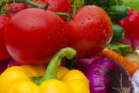 Group of vegetables closeup viewの写真素材