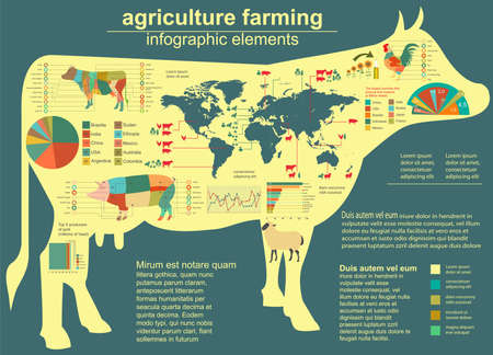 Agriculture, animal husbandry infographics, Vector illustrationstry info graphics. Vector illustrationのイラスト素材