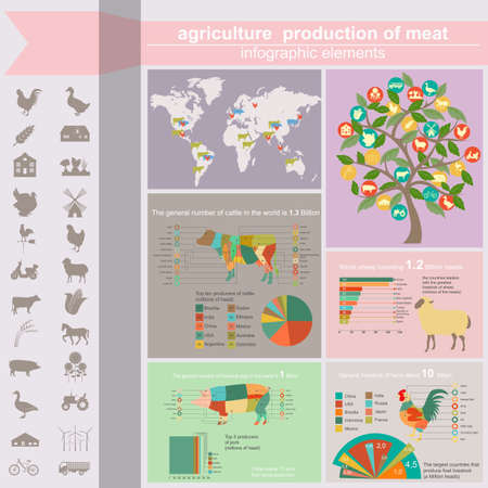 Agriculture, animal husbandry infographics, Vector illustrationstry info graphics. Vector illustrationのイラスト素材