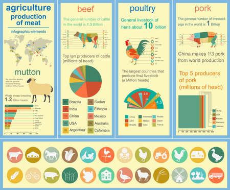 Agriculture, animal husbandry infographics, Vector illustrationstry info graphics. Vector illustrationのイラスト素材