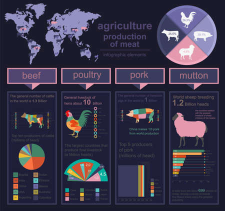 Agriculture, animal husbandry infographics, Vector illustrationstry info graphics. Vector illustrationのイラスト素材