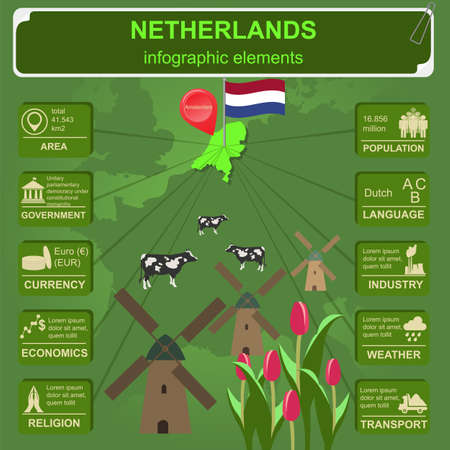 Netherlands infographics, statistical data, sights. Vector illustrationのイラスト素材