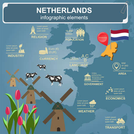 Netherlands infographics, statistical data, sights. Vector illustrationのイラスト素材