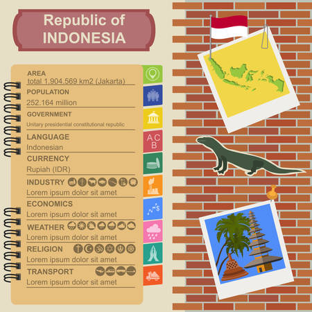 Indonesia  infographics, statistical data, sights. Vector illustrationのイラスト素材
