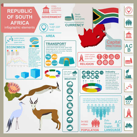 South Africa infographics, statistical data, sights illustrationのイラスト素材