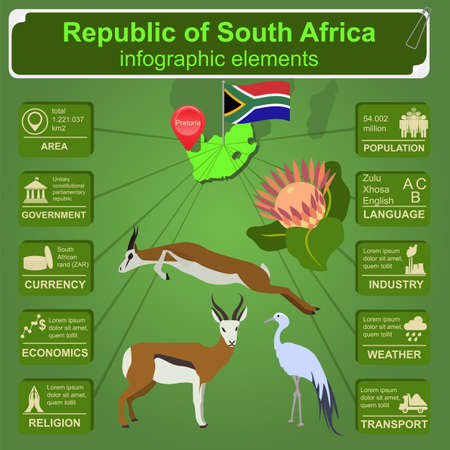 South Africa infographics, statistical data, sights illustrationのイラスト素材