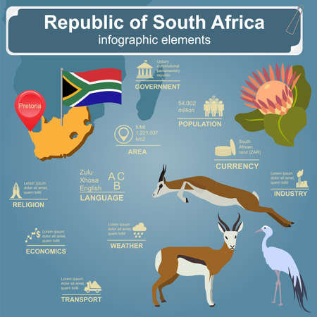 South Africa infographics, statistical data, sights illustrationのイラスト素材
