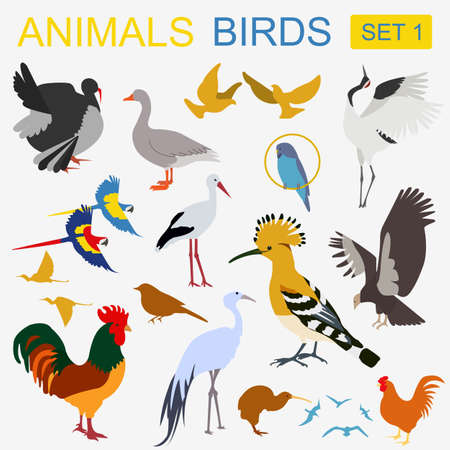 Birds icon set. Vector flat style. Vector illustrationのイラスト素材