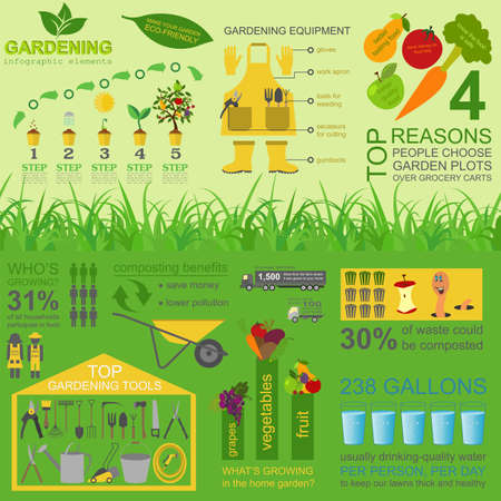 Garden work infographic elements. Working tools set. Vector illustrationのイラスト素材