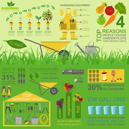 Garden work infographic elements. Working tools set. Vector illustrationのイラスト素材