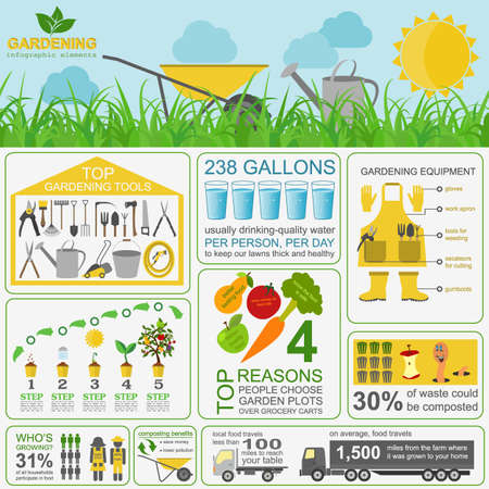 Garden work infographic elements. Working tools set. Vector illustrationのイラスト素材