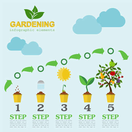 Garden work infographic elements. Working tools set. Vector illustrationのイラスト素材