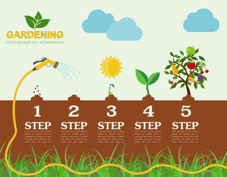 Garden work infographic elements. Working tools set. Vector illustrationのイラスト素材