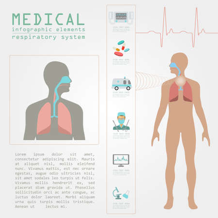 Medical and healthcare infographic, respiratory system infographics. Vector illustrationのイラスト素材