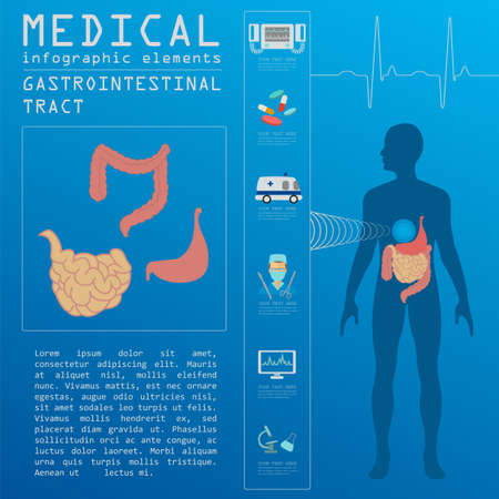 Medical and healthcare infographic, gastrointestinal tract infographics. Vector illustrationのイラスト素材