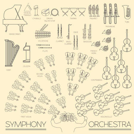 Musical instruments graphic template. All types of musical instruments infographic. Vector illustrationのイラスト素材