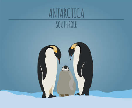 Antarctica (South Pole) graphic template. Vector illustrationのイラスト素材