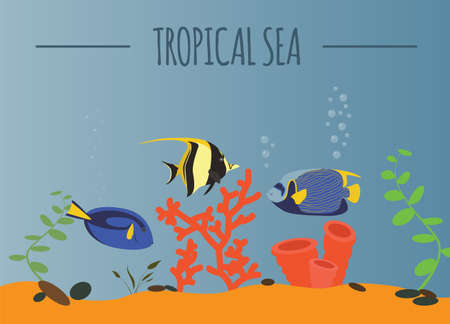 Tropical sea graphic template. Vector illustrationのイラスト素材