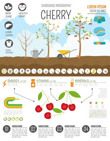 Gardening work, farming infographic. Cherry. Graphic template. Flat style design. Vector illustrationのイラスト素材