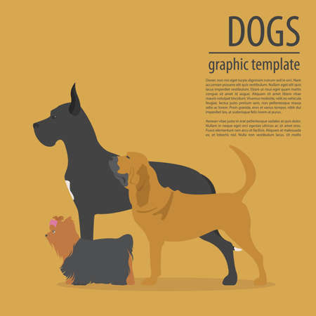 Dog info graphic template. Heatlh care, vet, nutrition, exhibition. Vector illustrationのイラスト素材