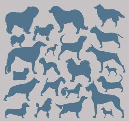 Dog icon set. Heatlh care, vet, nutrition, exhibition. Vector illustrationのイラスト素材